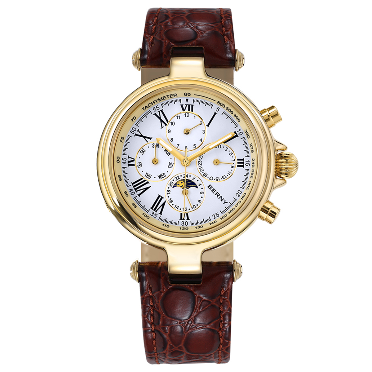 BERNY Retro Automatikuhr für H – Seiko Watch Prospex Bewertung und Preis